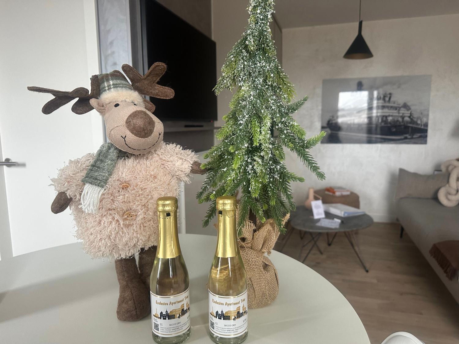 Apartment Modern Elegance In Historical Center Trier